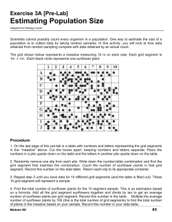 B6C Exercise 3A