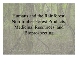 Humans and the Rainforest: Non