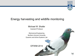 Energy harvesting and wildlife monitoring