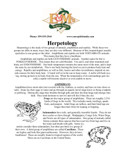 Herpetology