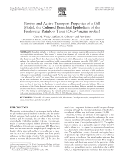 Passive and Active Transport Properties of a Gill