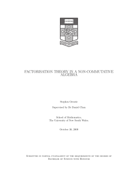 FACTORISATION THEORY IN A NON