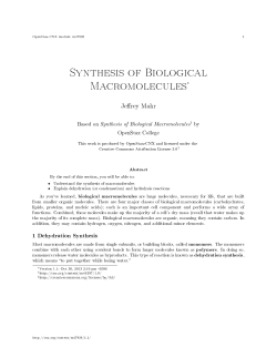 Synthesis of Biological Macromolecules