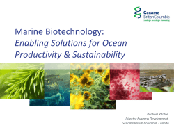 Marine Biotechnology: Enabling Solutions for Ocean Productivity