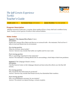 Teacher`s Guide - Discovery Education