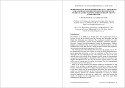 BIODIVERSITY OF MACROZOOBENTHOS IN A LARGE RIVER
