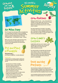 August Summer Activities