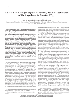 Does a Low Nitrogen Supply Necessarily Lead to