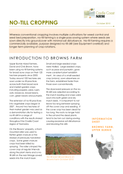 No Till Information Sheet 261110