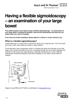 Having a flexible sigmoidoscopy &ndash; an examination of your large bowel