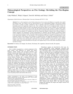 Paleoecological Perspectives on Fire Ecology