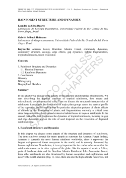 Rainforest Structure and Dynamics