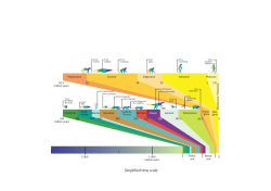 Simplified time scale