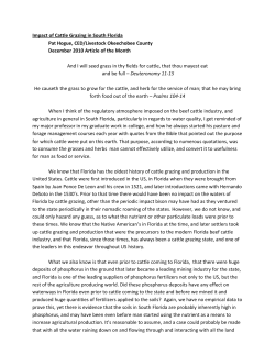 Impact of Cattle Grazing in South Florida