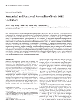 Anatomical and Functional Assemblies of Brain BOLD Oscillations