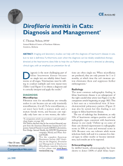 Dirofilaria immitis in Cats: Diagnosis and Management*