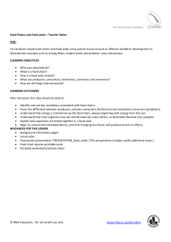 Lesson Plan and Teachers notes