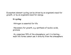 N cycle