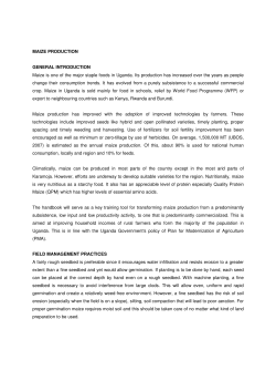 MAIZE PRODUCTION GENERAL INTRODUCTION Maize is one of