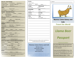 Passport - Mamma Llama