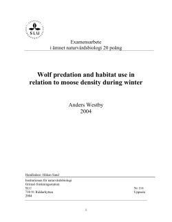 Westby 2004 Wolf predation and habitat use in relation to moose