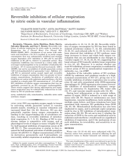 Reversible inhibition of cellular respiration by nitric - AJP