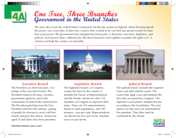 One Tree, Three Branches