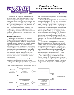 C665 Phosphorus Facts: Soil, plant, and fertilizer