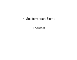 4 Mediterranean Biome