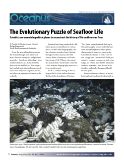 The Evolutionary Puzzle of Seafloor Life