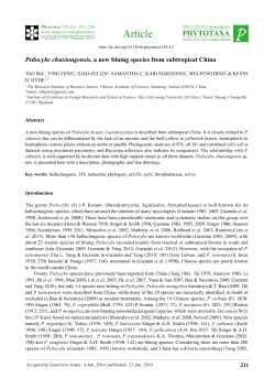 Psilocybe chuxiongensis, a new bluing species from subtropical China