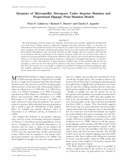 Dynamics of Microsatellite Divergence Under Stepwise Mutation