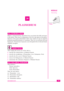 Lesson 39. Plasmodium
