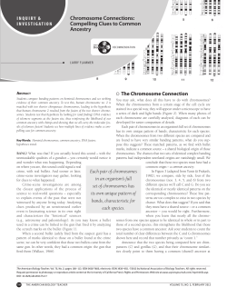 Chromosome Connections: Compelling Clues to Common Ancestry
