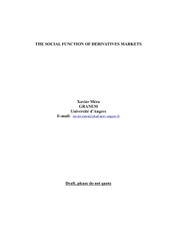 THE SOCIAL FUNCTION OF DERIVATIVES MARKETS Xavier M&eacute;ra
