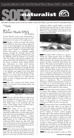 links Extract Shark DNA - South Fork Natural History Museum