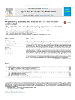 Do genetically modified plants affect adversely on soil microbial