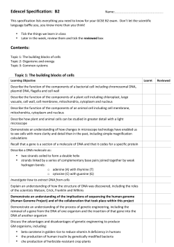 B2 Checklist