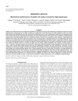 RESEARCH ARTICLE Mechanical performance of spider orb webs