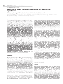Localization of Fas and Fas ligand in bone marrow cells