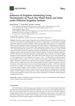 Influence of Irrigation Scheduling Using Thermometry on Peach