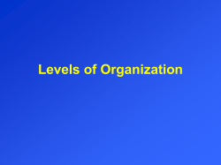 Levels of Organization