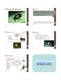 Arthropod Classification Welcome Objectives Introduction