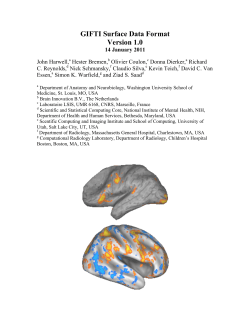 GIFTI Surface Data Format Version 1.0