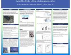 Study of Benthic Invertebrates in Commencement Bay