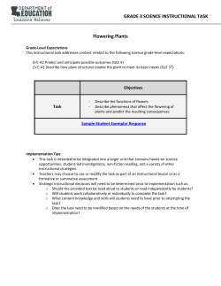 Task - Science - Grade 3 - Flowering Plants PDF