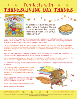 thanksgiving day thanks