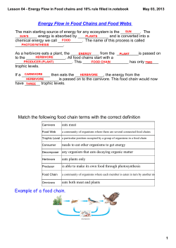 Lesson 04 - Energy Flow in Food chains and 10% rule filled