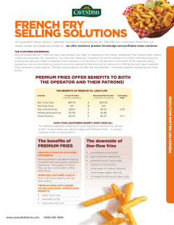 french fry selling solutions