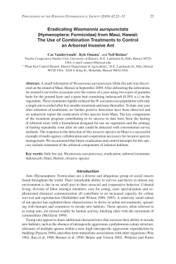 Eradicating Wasmannia auropunctata